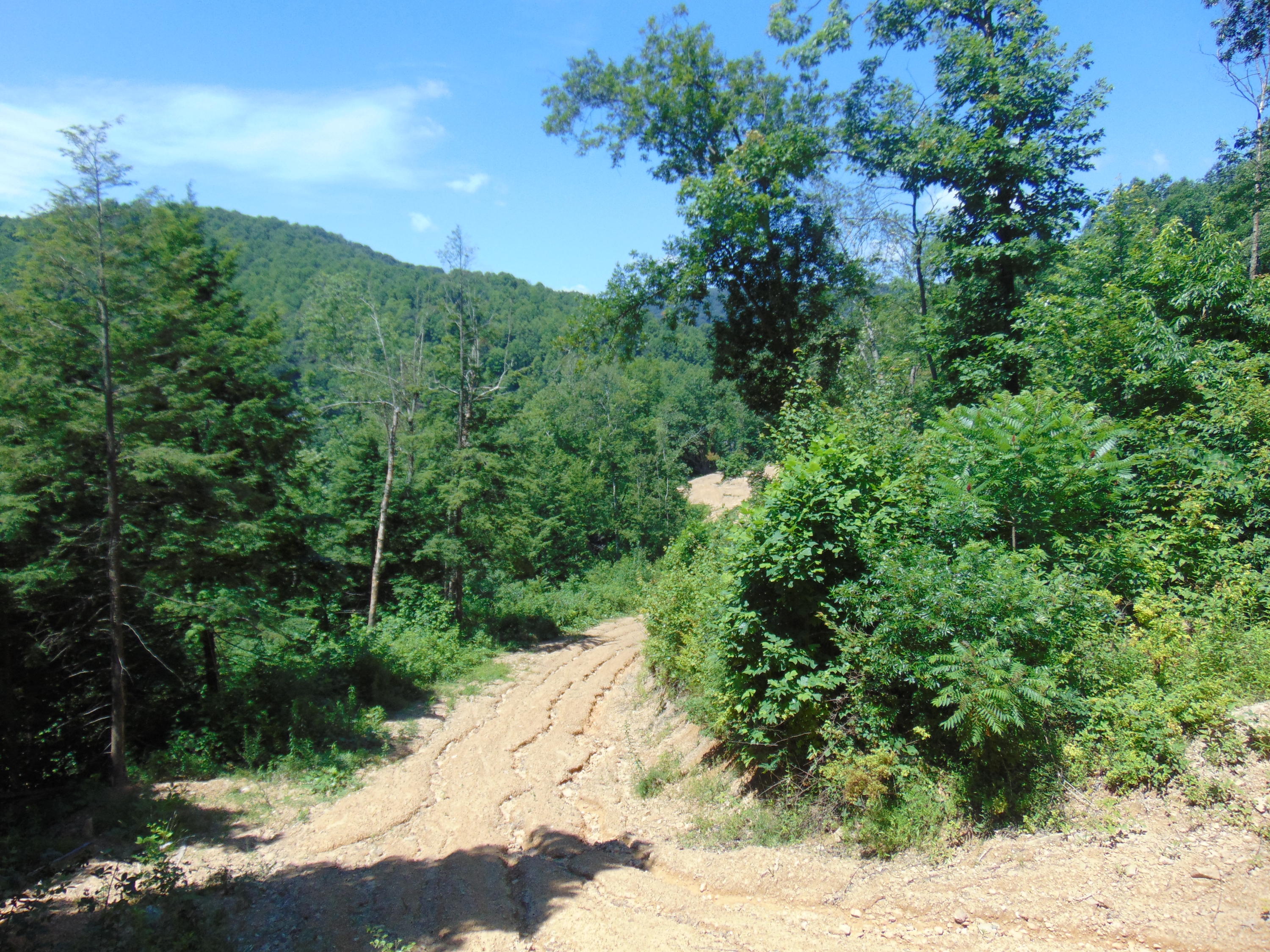 Sims Branch Rd Mount Mount Hope, WV 25880 - Photo 18 of 18 Gallery Image 18