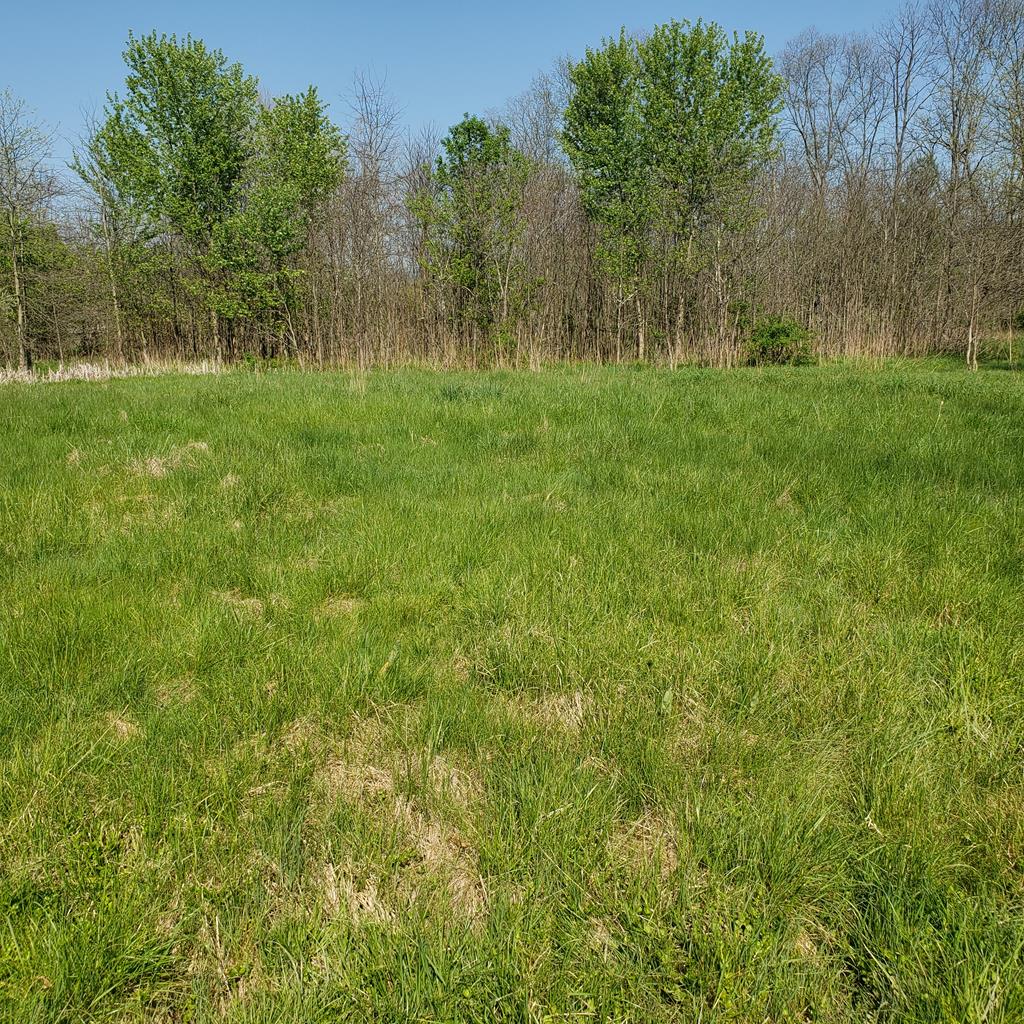 6536 Stone Creek Ridge Road Huntingdon, PA 16652 - Photo 18 of 40 Gallery Image 18