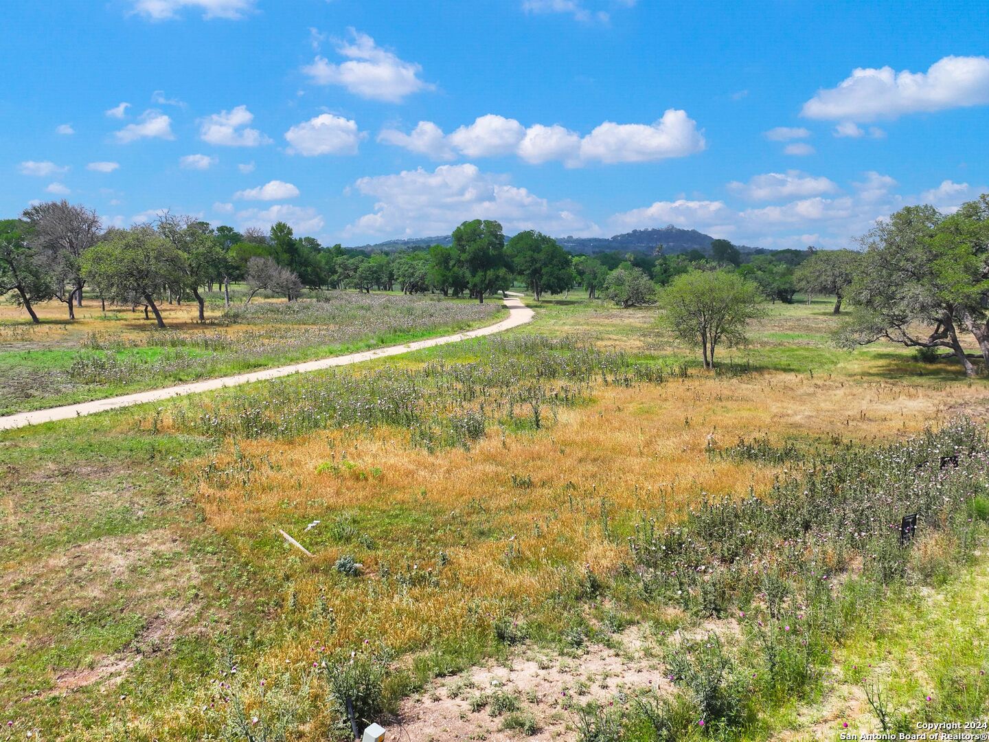 Lot 169 Coldwater Drive Center Point, TX 78010 - Photo 19 of 25 a view of a lake with a yard
