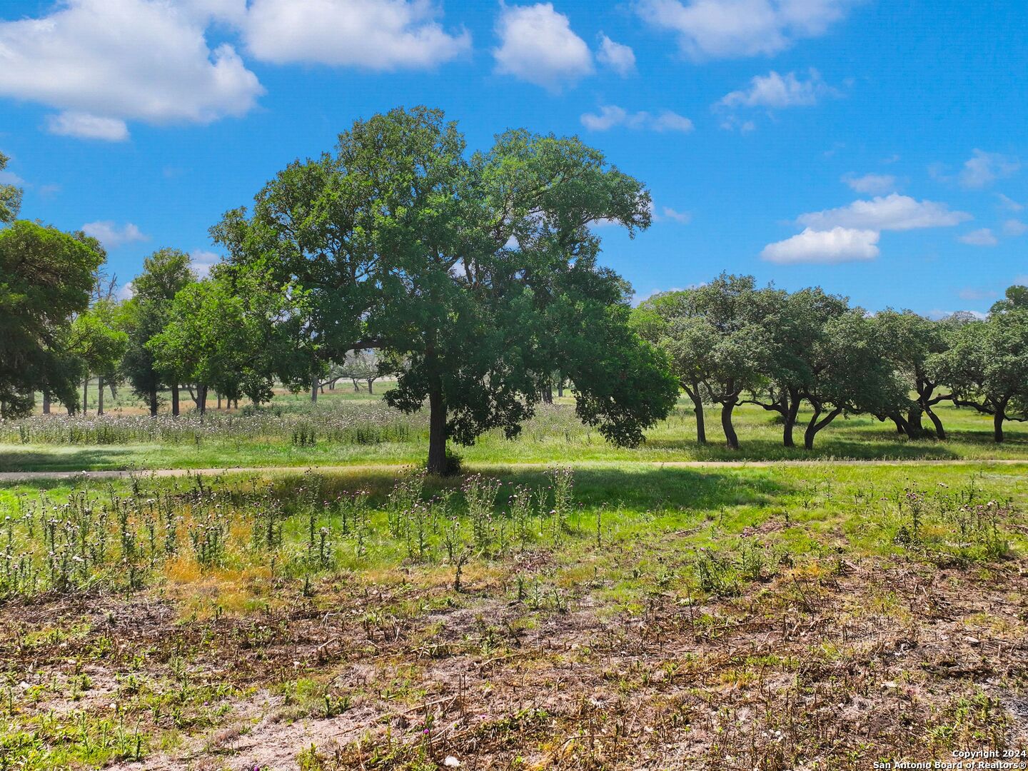Lot 169 Coldwater Drive Center Point, TX 78010 - Photo 22 of 25 a view of a garden with an outdoor space
