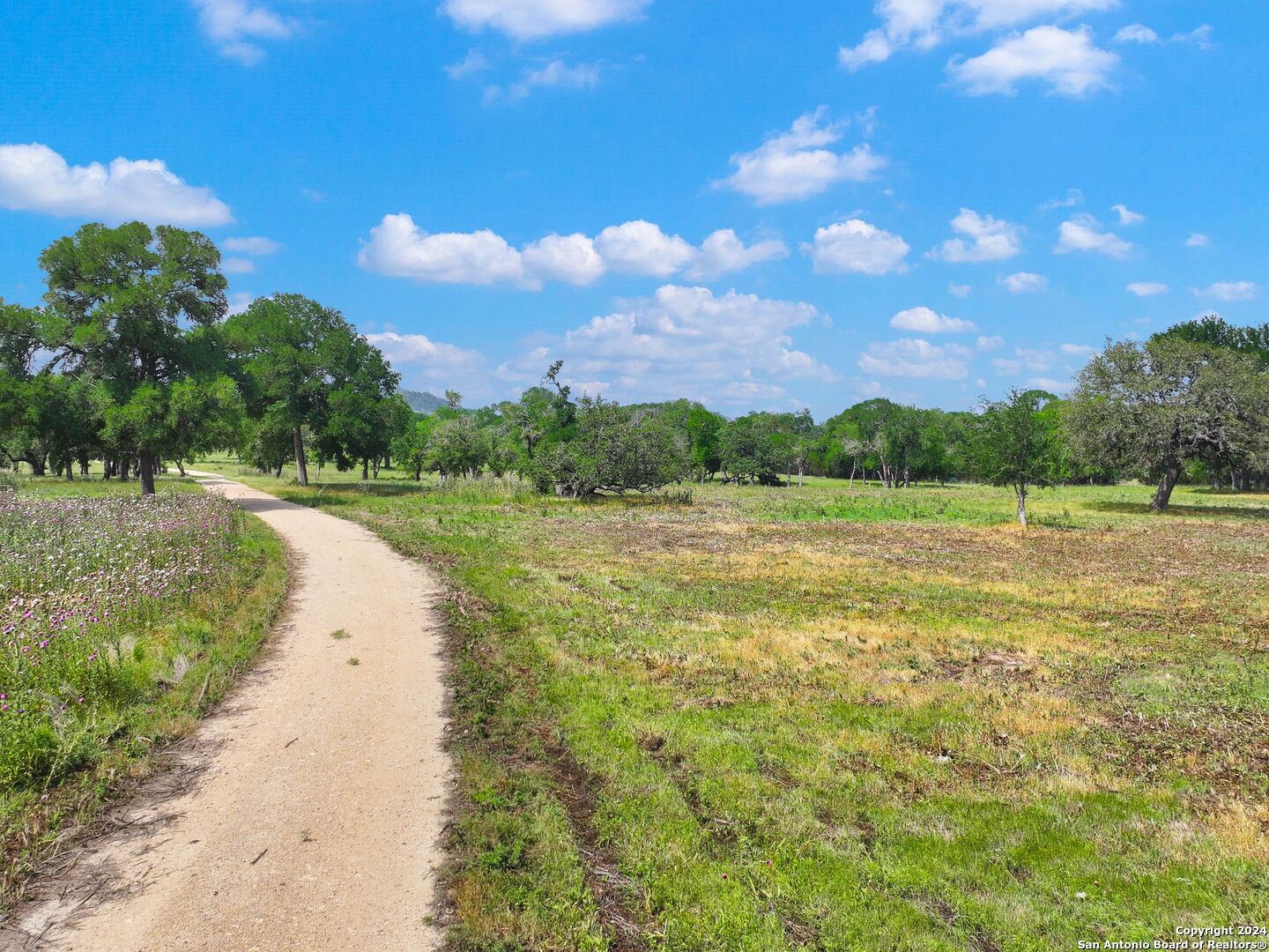 Lot 169 Coldwater Drive Center Point, TX 78010 - Photo 25 of 25 a view of a lake with a yard