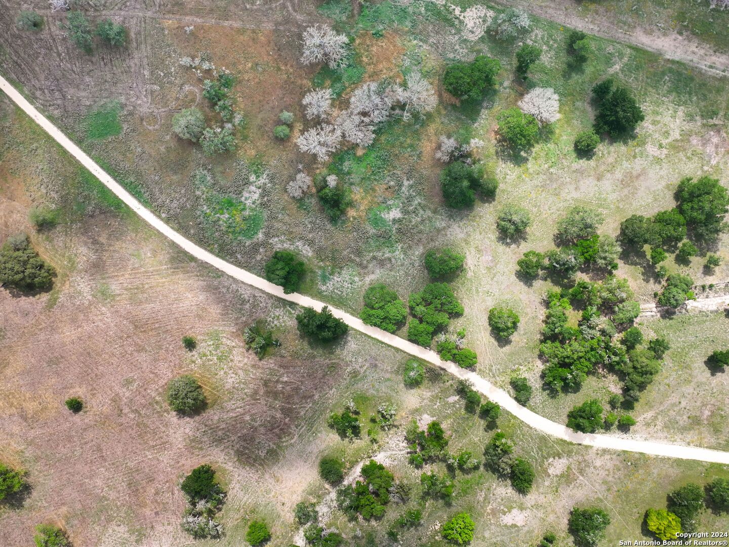 Lot 169 Coldwater Drive Center Point, TX 78010 - Photo 3 of 25 a view of a yard with plants