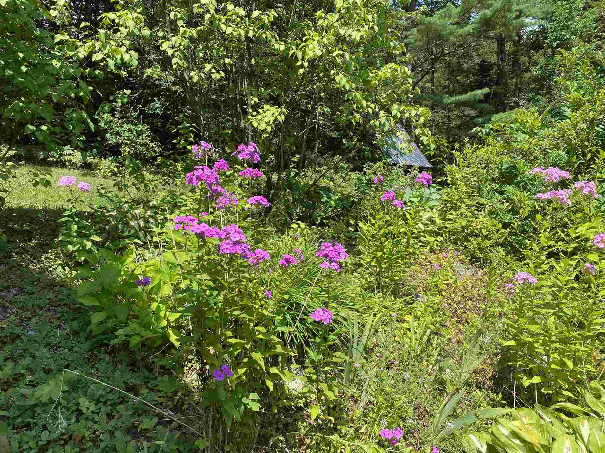 262 Highway 30 Winhall, VT 05340 - Photo 6 of 28