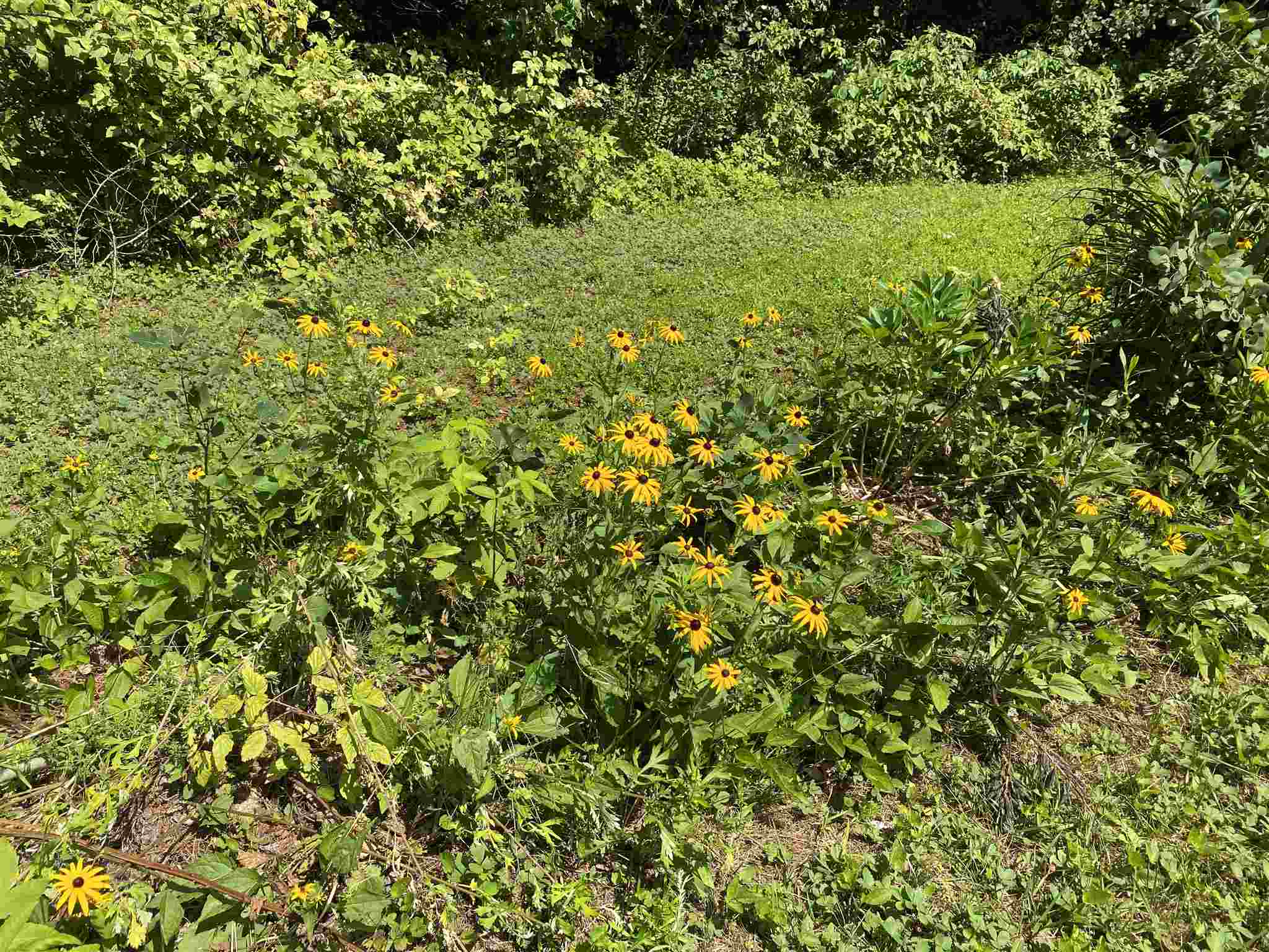 262 Highway 30 Winhall, VT 05340 - Photo 8 of 28