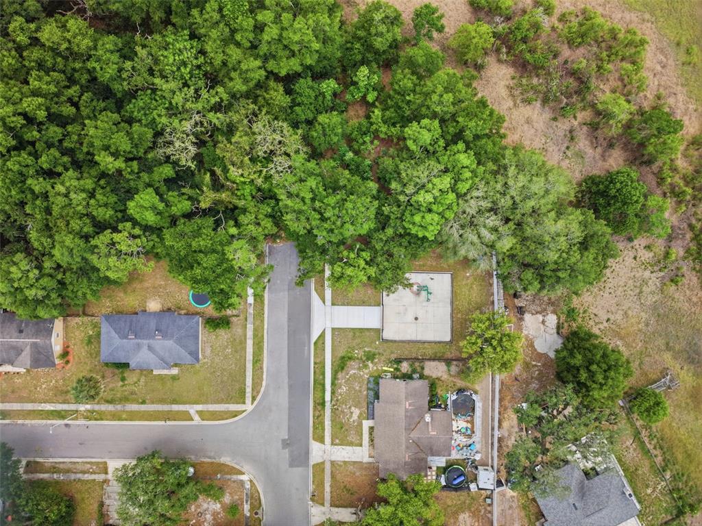Sardina Boulevard Orlando, FL 32818 - Photo 4 of 17