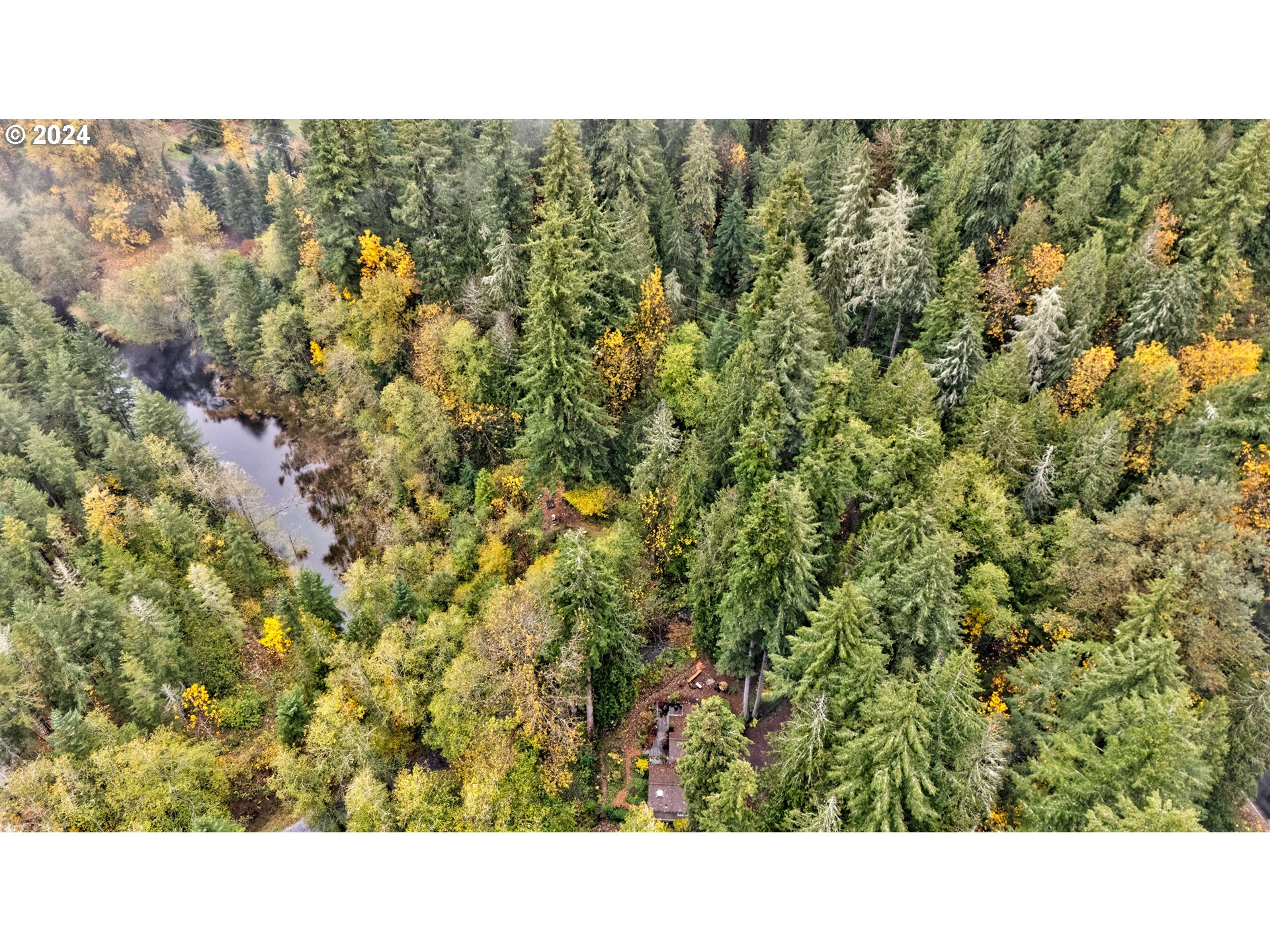 0 East Donny Dell Lane Rhododendron, OR 97049 - Photo 2 of 6 a picture of a city