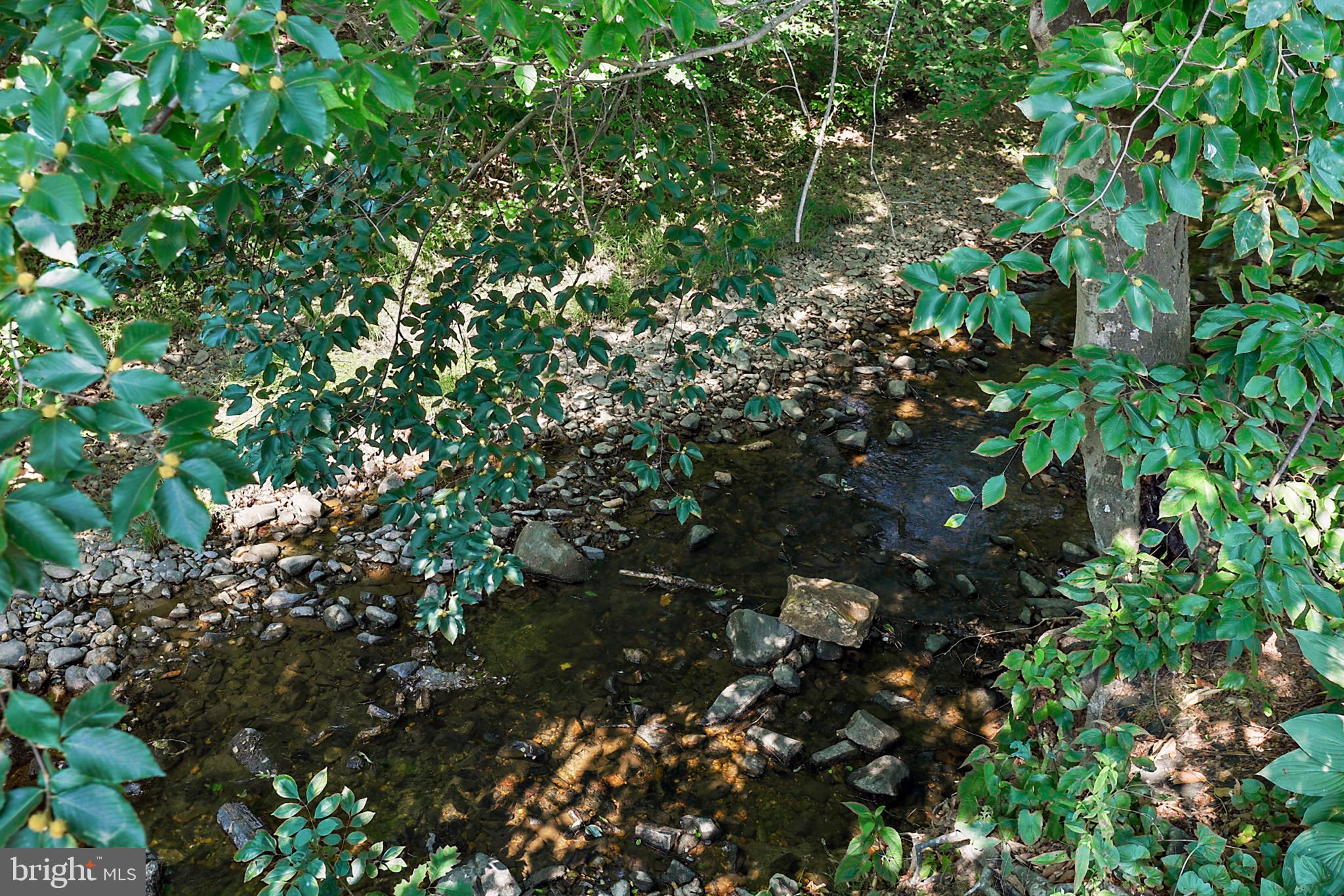 524 South Stepney Road Aberdeen, MD 21001 - Photo 37 of 40 Creek