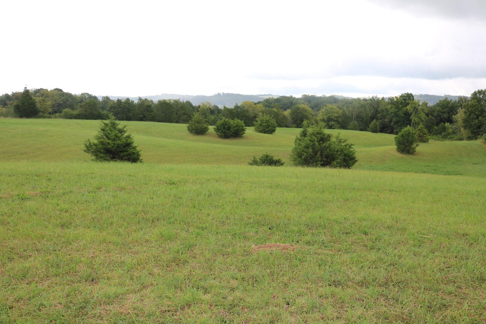 Tbd Elmer Hayes Road Mosheim, TN 37818 - Photo 2 of 9 IMG_4703