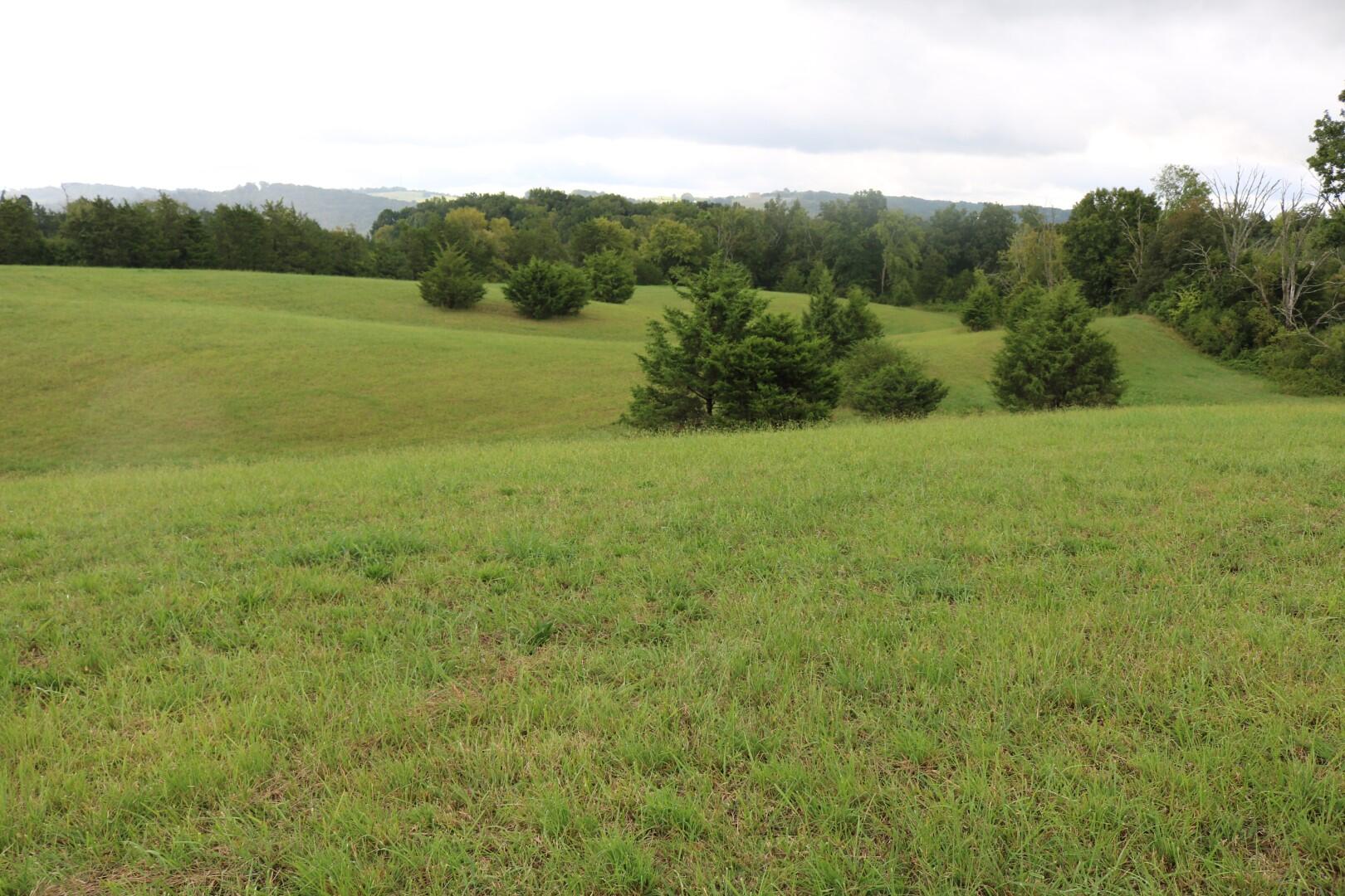 Tbd Elmer Hayes Road Mosheim, TN 37818 - Photo 3 of 9 IMG_4707