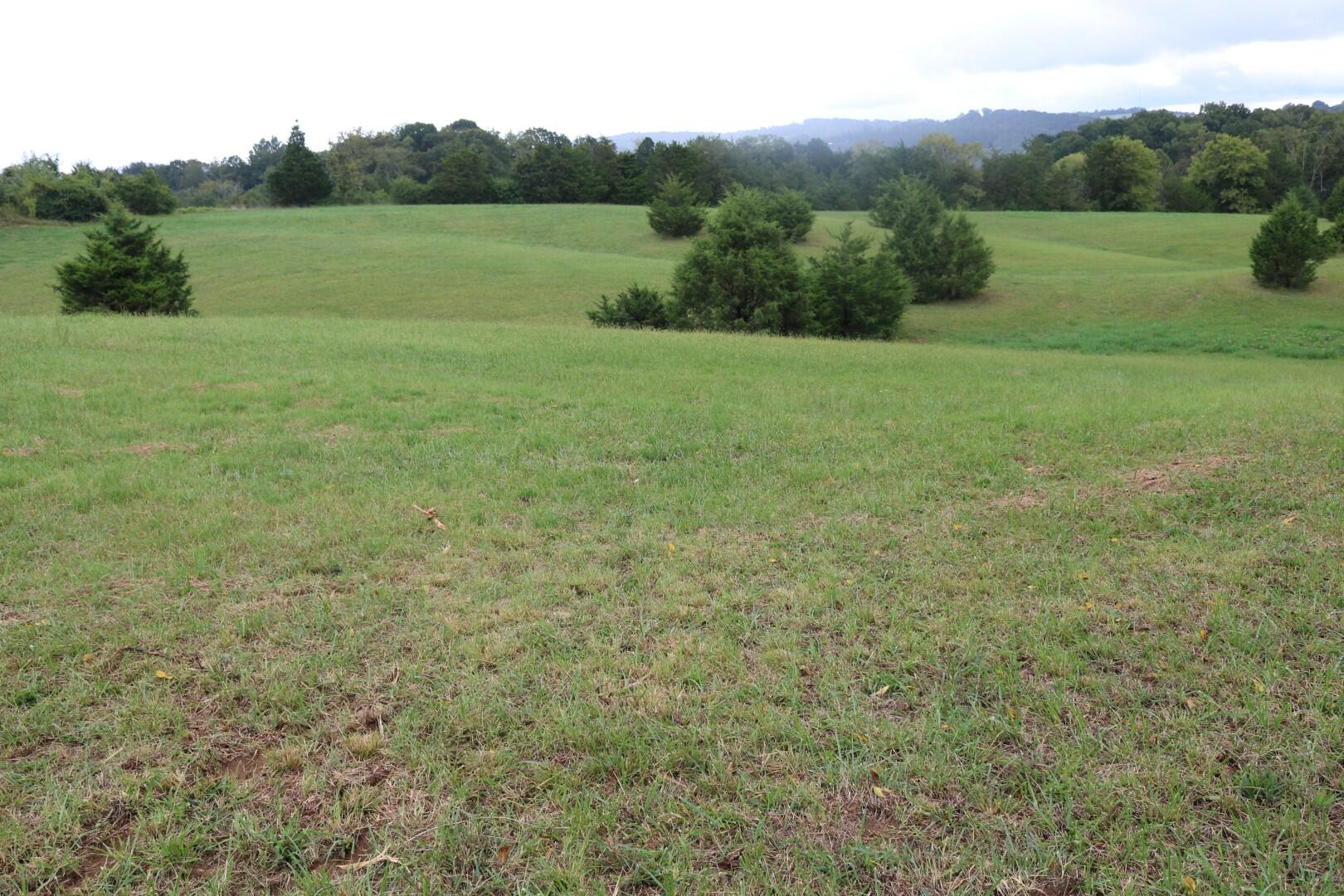 Tbd Elmer Hayes Road Mosheim, TN 37818 - Photo 4 of 9 IMG_4718