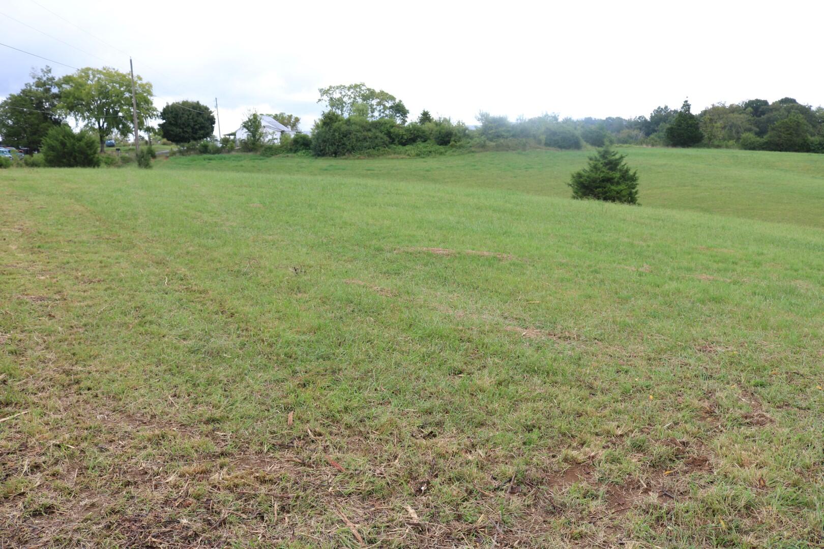 Tbd Elmer Hayes Road Mosheim, TN 37818 - Photo 5 of 9 IMG_4719