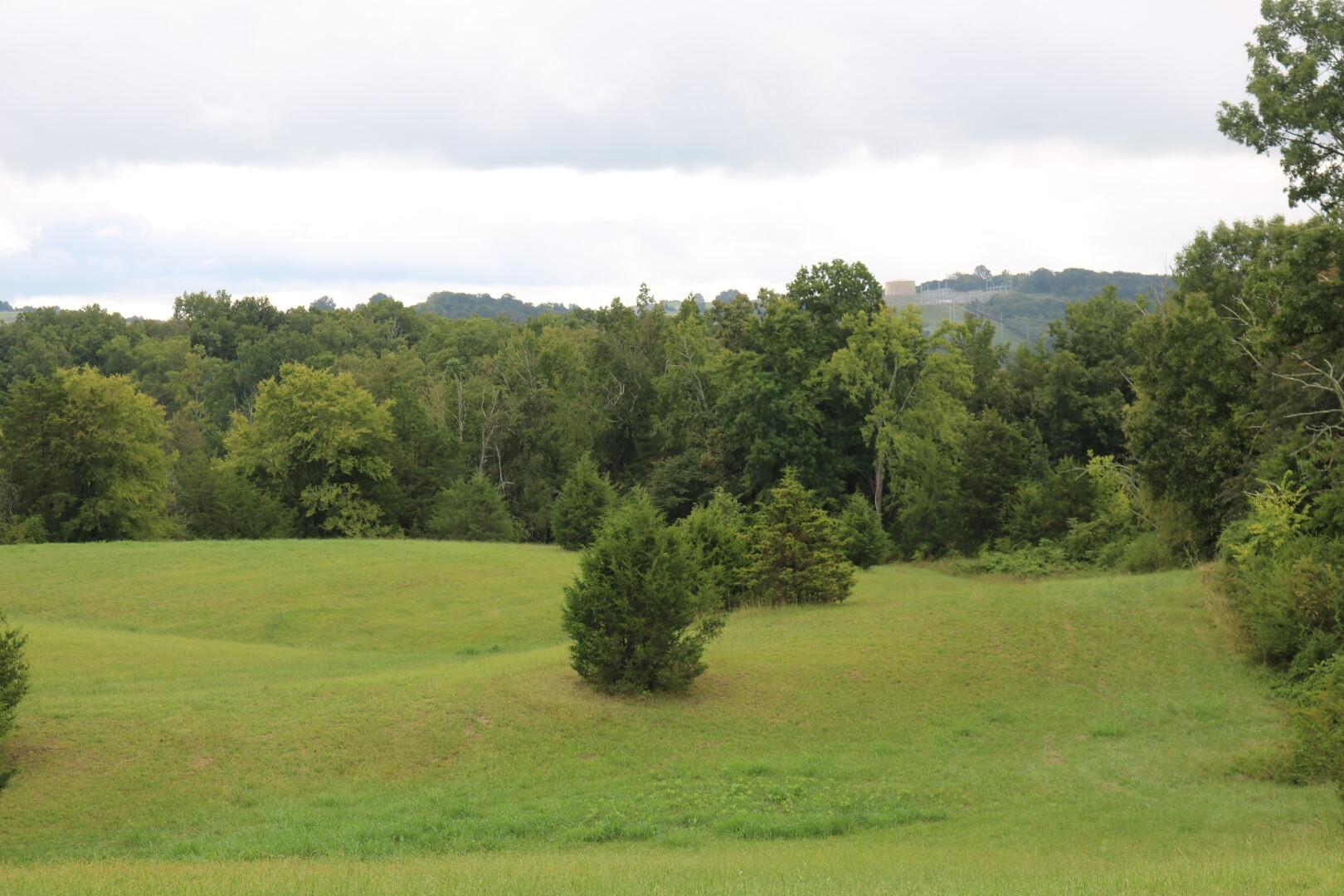 Tbd Elmer Hayes Road Mosheim, TN 37818 - Photo 6 of 9 IMG_4721