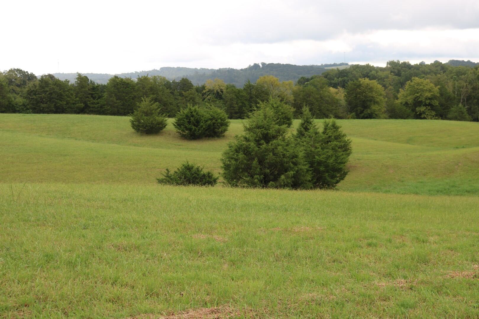 Tbd Elmer Hayes Road Mosheim, TN 37818 - Photo 7 of 9 IMG_4722