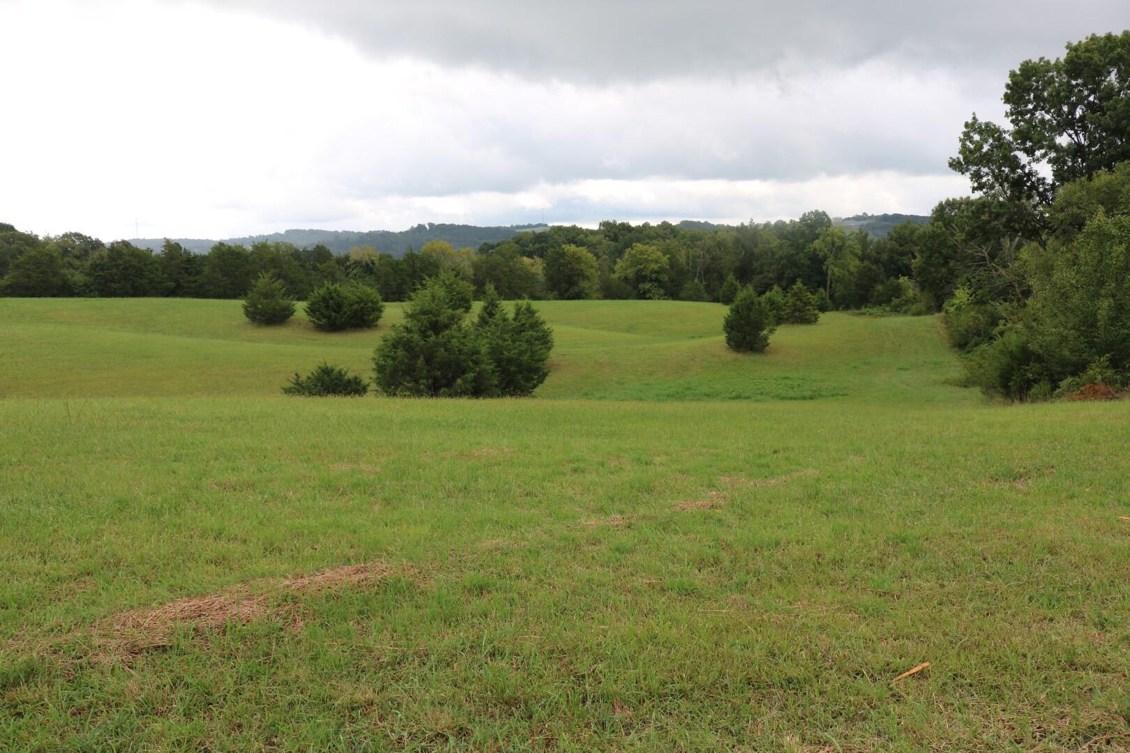 Tbd Elmer Hayes Road Mosheim, TN 37818 - Photo 8 of 9 IMG_4723