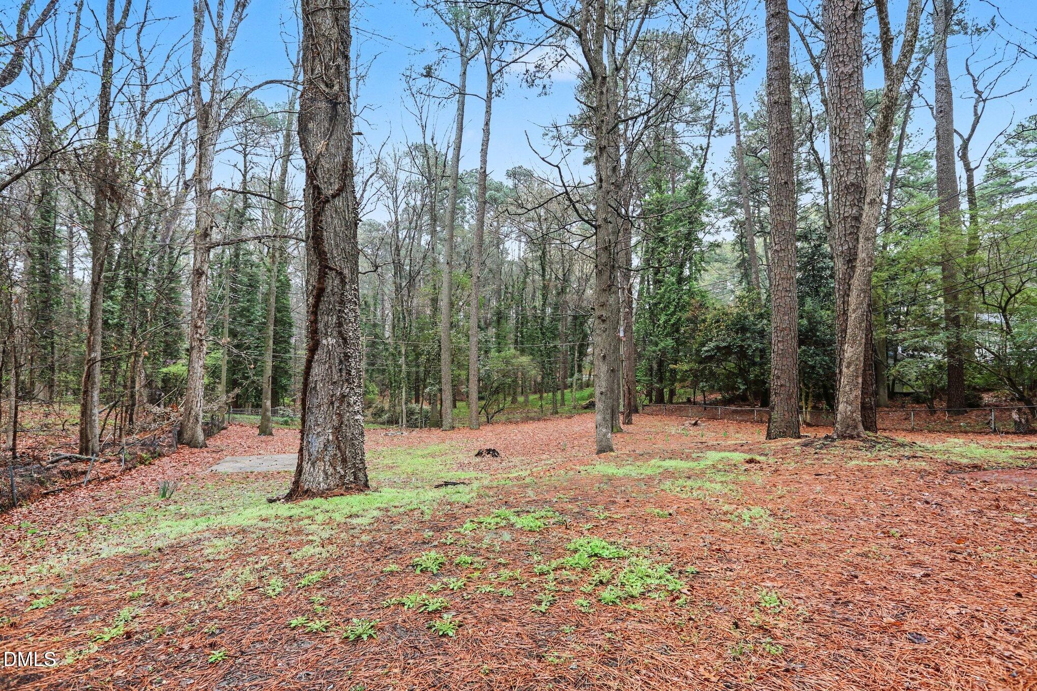 3719 Old Chapel Hill Road Durham, NC 27707 - Photo 21 of 33 Backyard