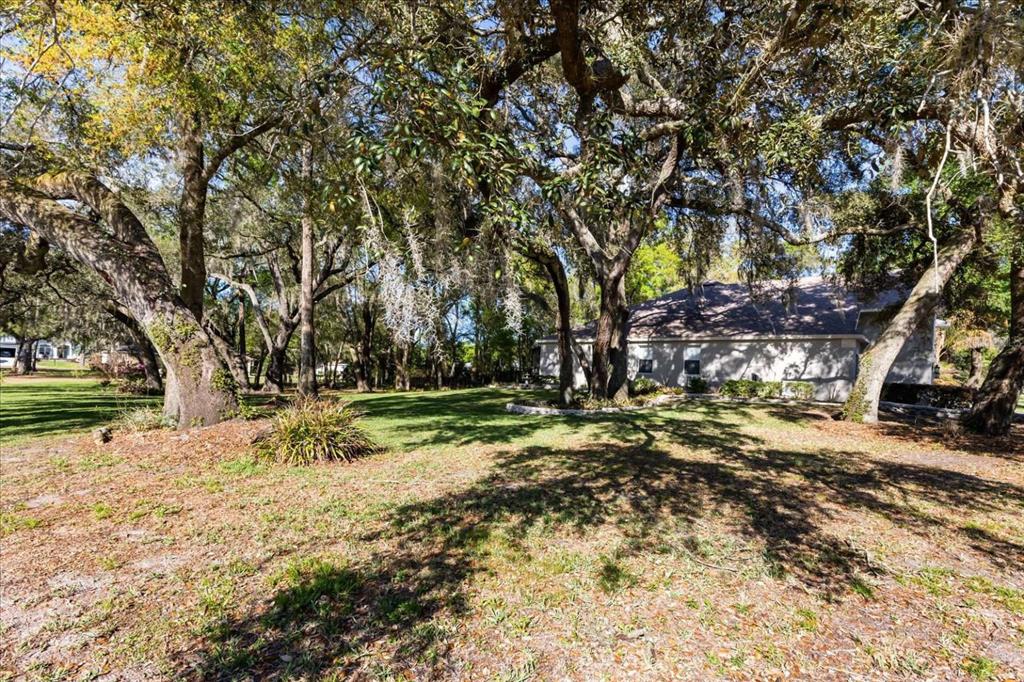 597 Sand Wedge Loop Apopka, FL 32712 - Photo 64 of 71