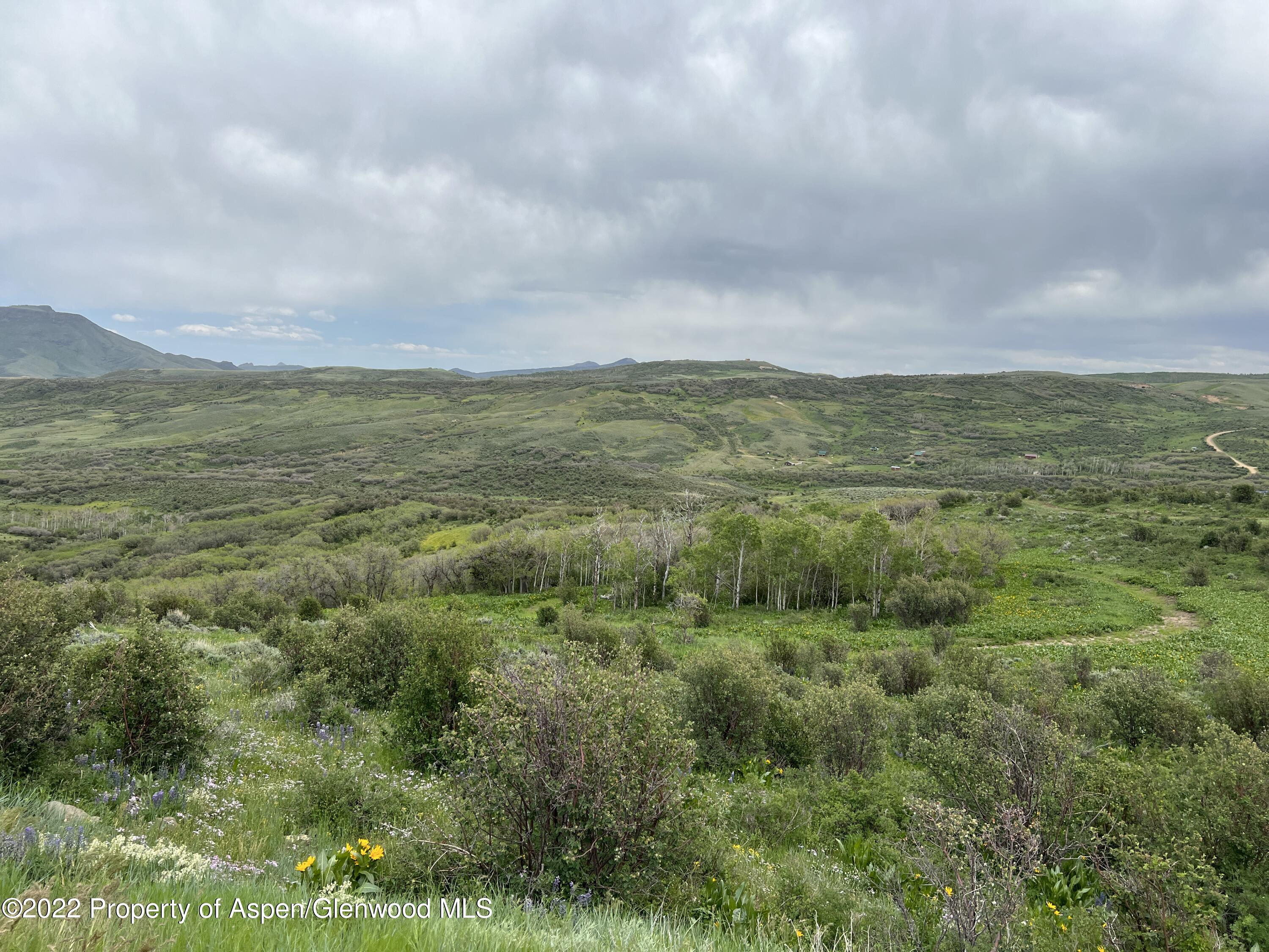1673 Sprout Drive, Unit WILDERNESS RANCH LOT 652 Craig, CO 81625 - Photo 1 of 11 IMG_3453