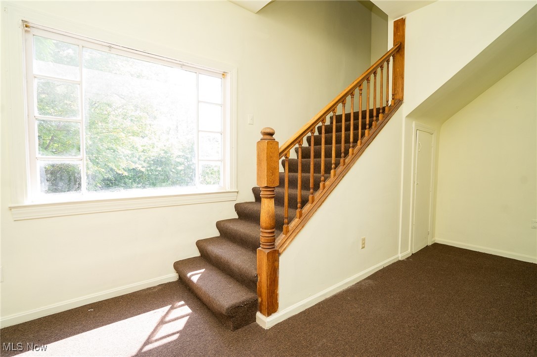 1720 Jacobs Road Youngstown, OH 44505 - Photo 16 of 18 Staircase with carpet flooring and baseboards