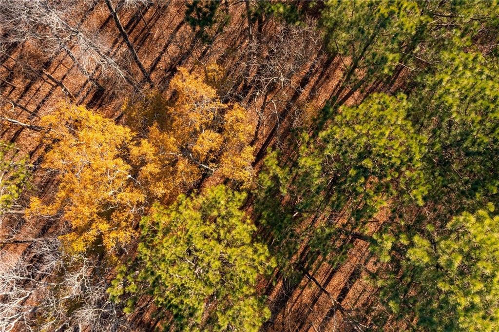 0 East Clinton Drive Southwest Rome, GA 30165 - Photo 20 of 21