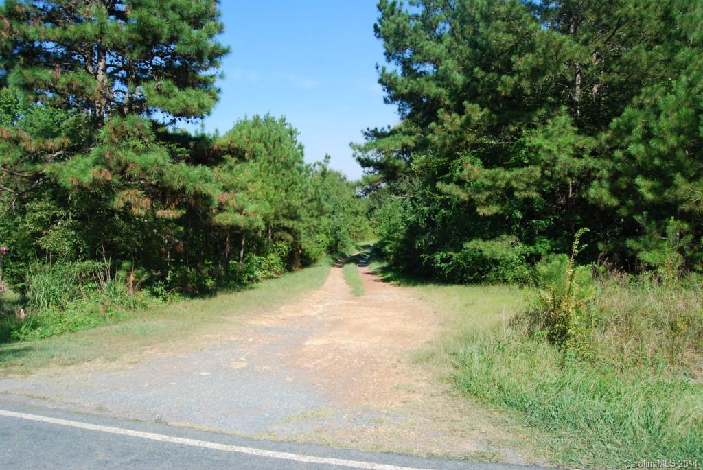 1 Snyders Store Road Wingate, NC 28174 - Photo 2 of 5 a view of a plants with a plant