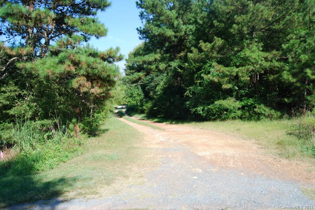 1 Snyders Store Road Wingate, NC 28174 - Photo 3 of 5 a view of a yard with plants and a bench with lake view