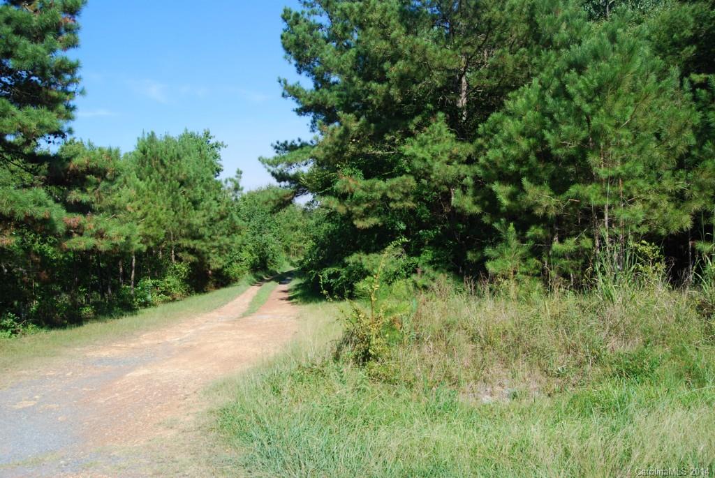 1 Snyders Store Road Wingate, NC 28174 - Photo 4 of 5 a view of a lush green space