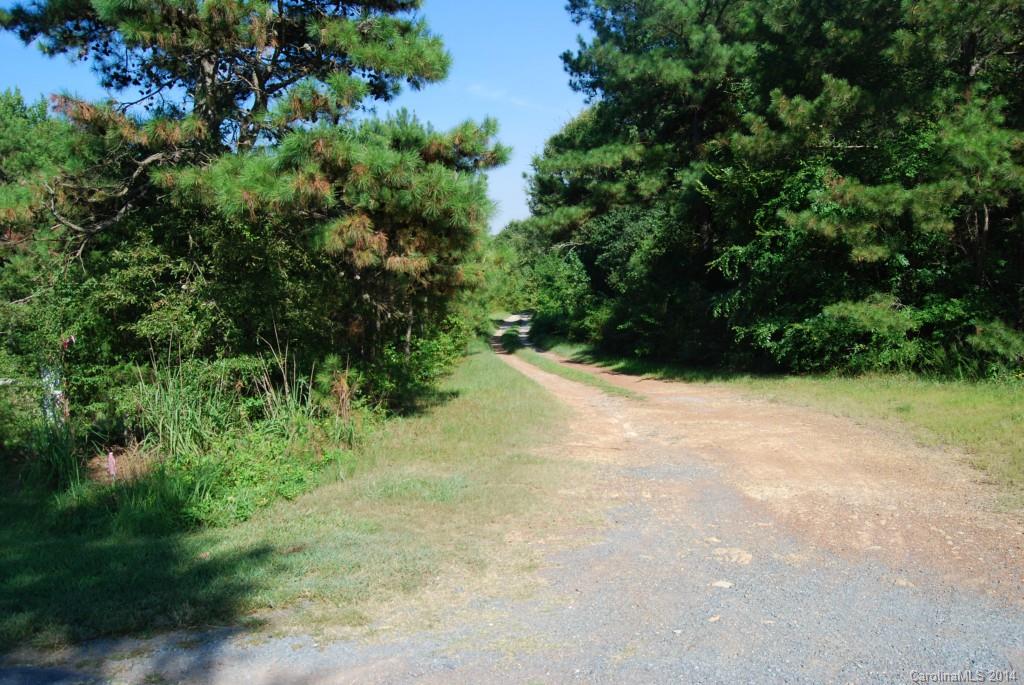 1 Snyders Store Road Wingate, NC 28174 - Photo 5 of 5 a view of a forest with a tree