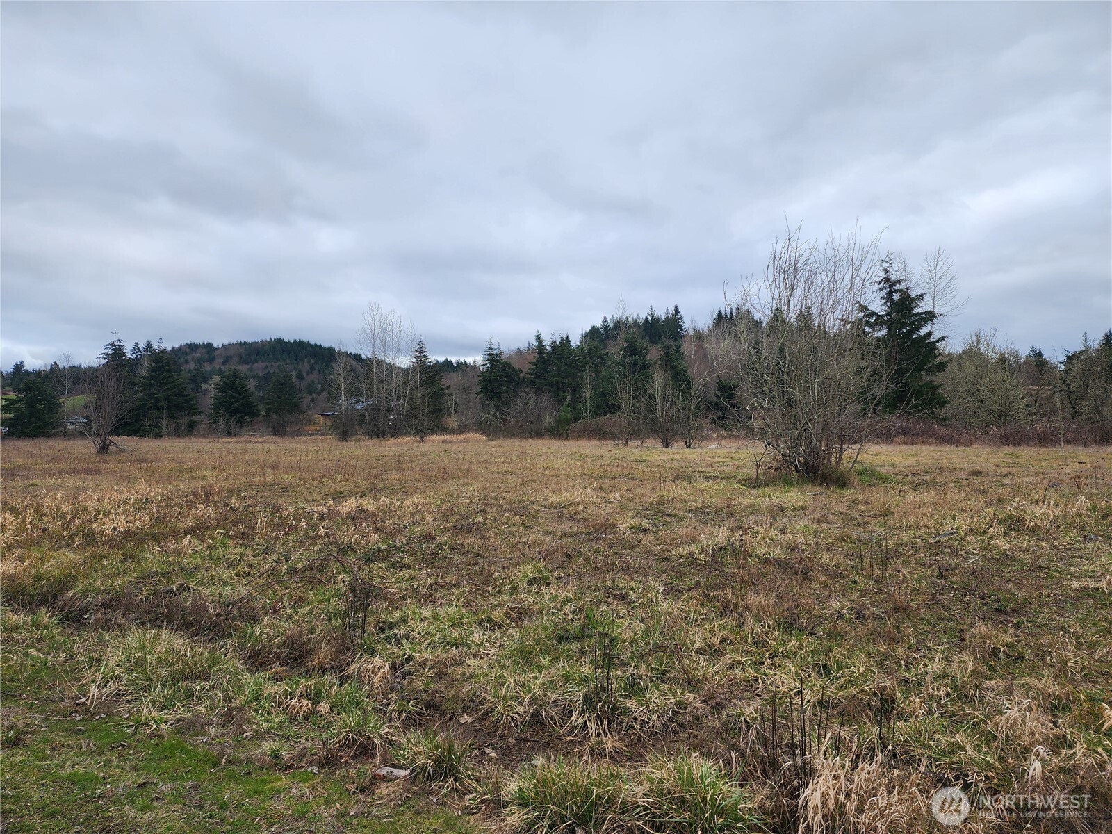 0 Fair Street, Unit LOT 1 Centralia, WA 98531 - Photo 10 of 11