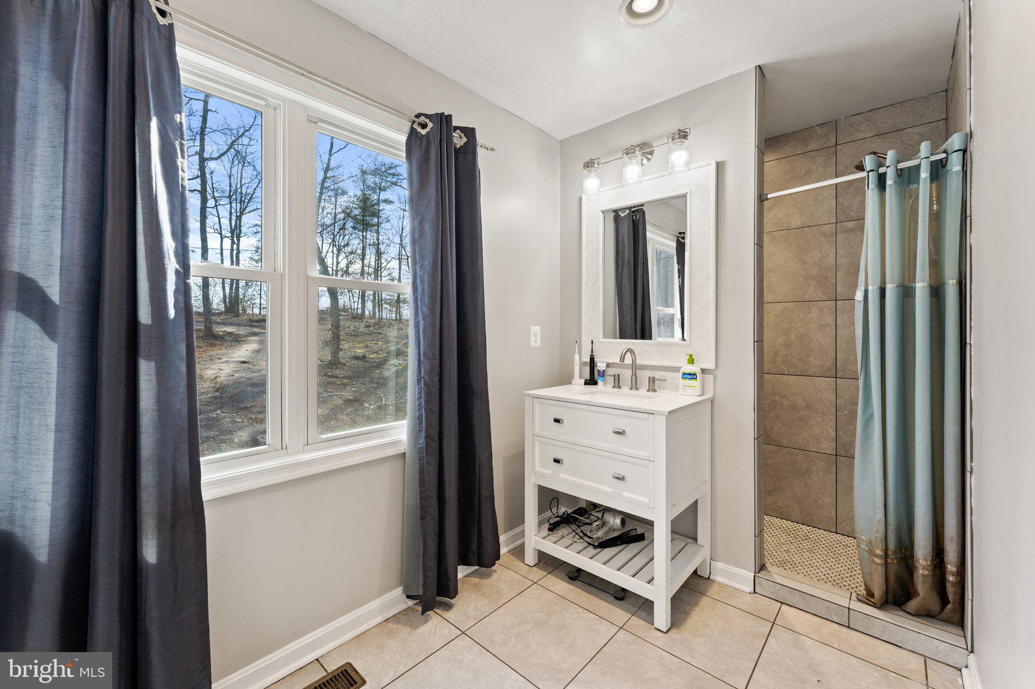 11652 Alum Springs Road Rixeyville, VA 22737 - Photo 38 of 64 a bathroom with a double vanity sink mirror and shower