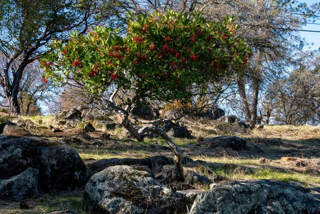 $135,000 | 0 Crystal Boulevard, El Dorado, CA 95623