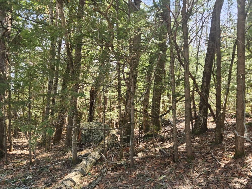 1 West Main Street, Unit 2331 Hillsborough, NH 03244 - Photo 11 of 50