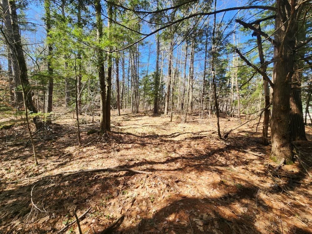 1 West Main Street, Unit 2331 Hillsborough, NH 03244 - Photo 13 of 50