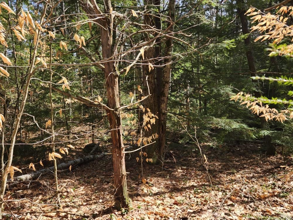 1 West Main Street, Unit 2331 Hillsborough, NH 03244 - Photo 16 of 50