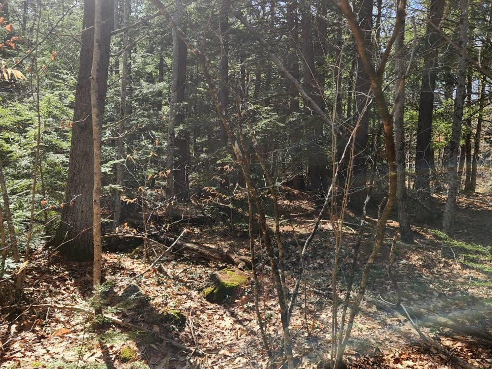 1 West Main Street, Unit 2331 Hillsborough, NH 03244 - Photo 17 of 50