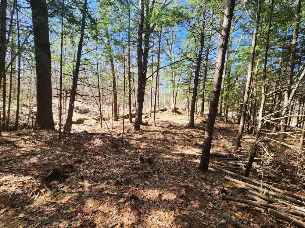 1 West Main Street, Unit 2331 Hillsborough, NH 03244 - Photo 23 of 50