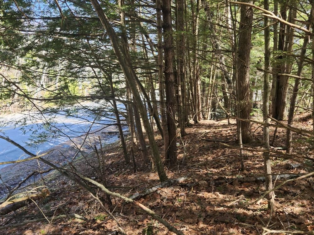 1 West Main Street, Unit 2331 Hillsborough, NH 03244 - Photo 28 of 50