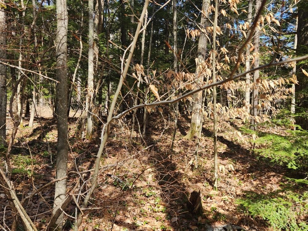 1 West Main Street, Unit 2331 Hillsborough, NH 03244 - Photo 32 of 50