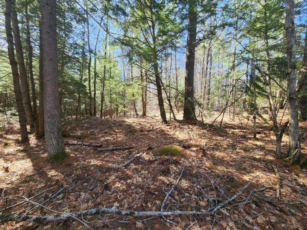 1 West Main Street, Unit 2331 Hillsborough, NH 03244 - Photo 39 of 50