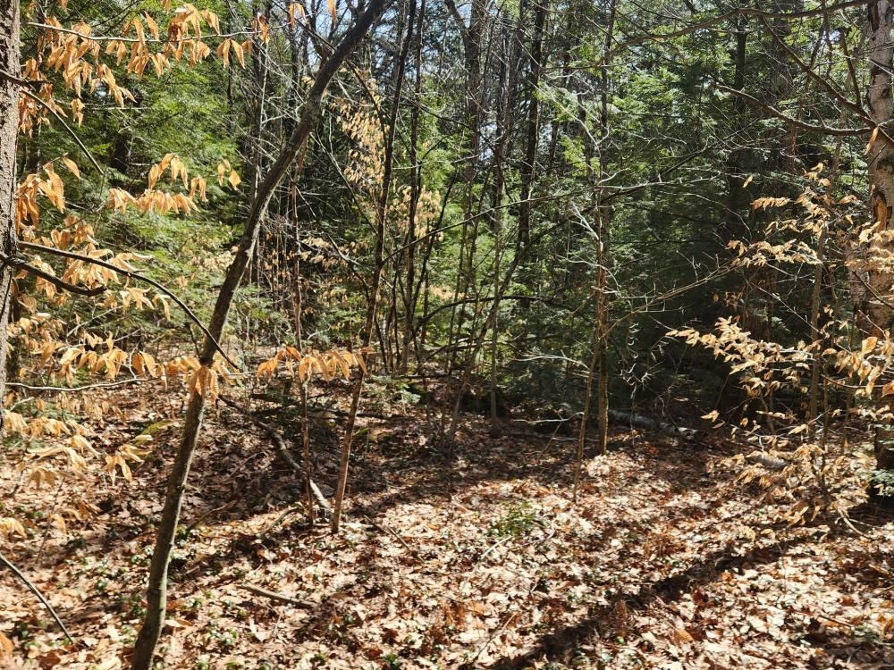 1 West Main Street, Unit 2331 Hillsborough, NH 03244 - Photo 4 of 50