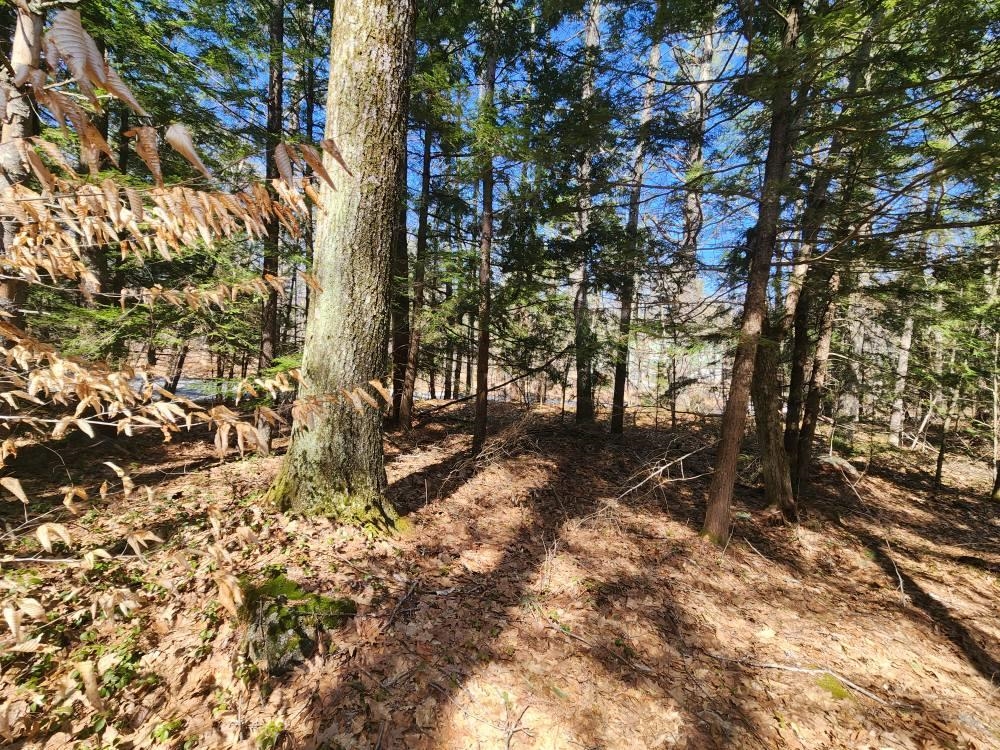 1 West Main Street, Unit 2331 Hillsborough, NH 03244 - Photo 41 of 50