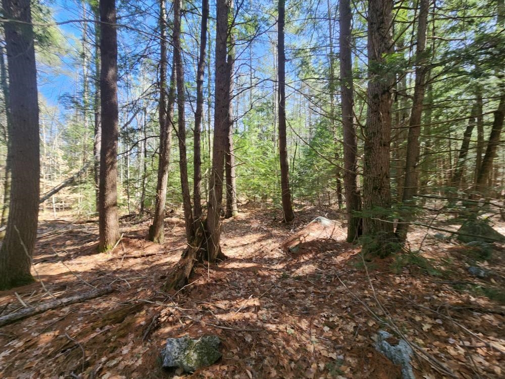 1 West Main Street, Unit 2331 Hillsborough, NH 03244 - Photo 45 of 50