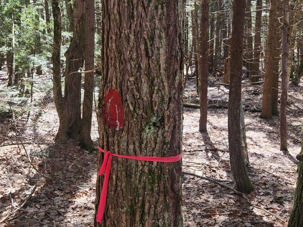 1 West Main Street, Unit 2331 Hillsborough, NH 03244 - Photo 48 of 50