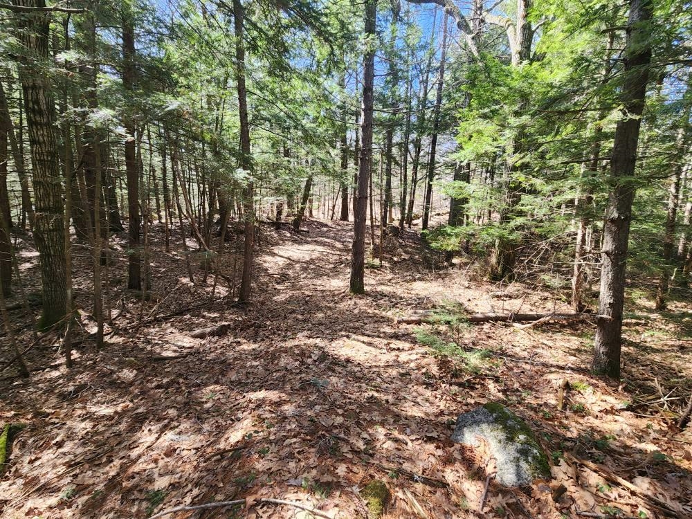 1 West Main Street, Unit 2331 Hillsborough, NH 03244 - Photo 7 of 50