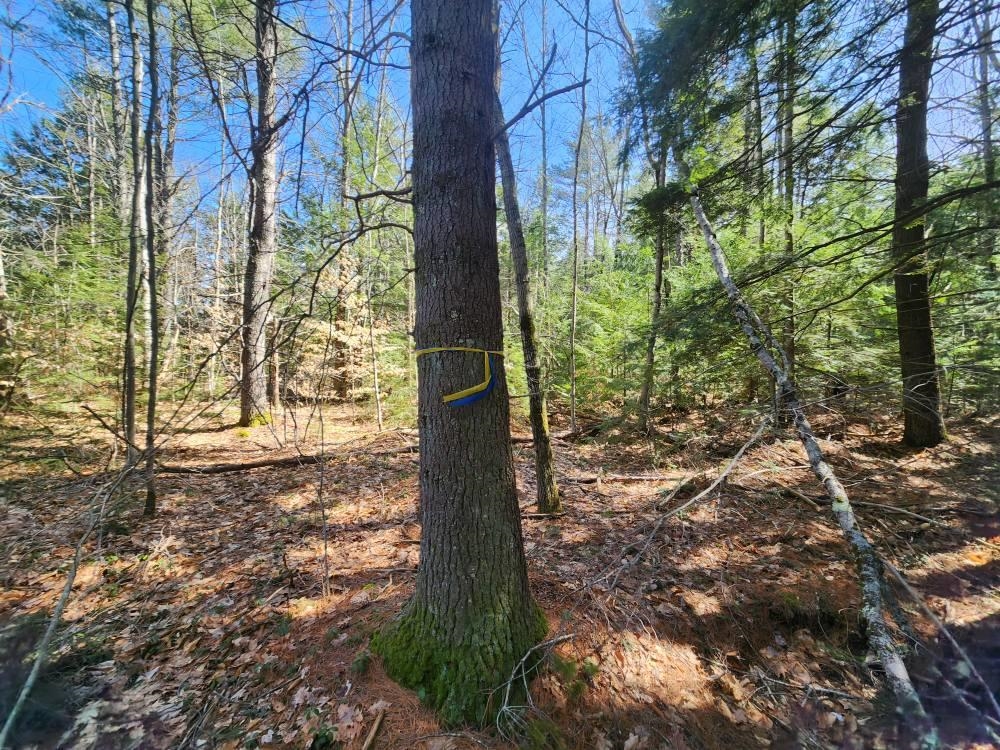 1 West Main Street, Unit 2331 Hillsborough, NH 03244 - Photo 8 of 50