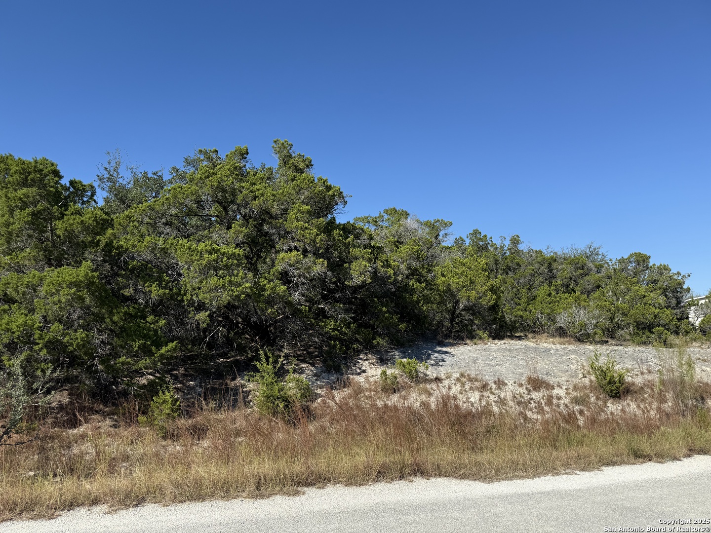 Lot 37 Golf Course Dr E Spring Branch, TX 78070 - Photo 2 of 4
