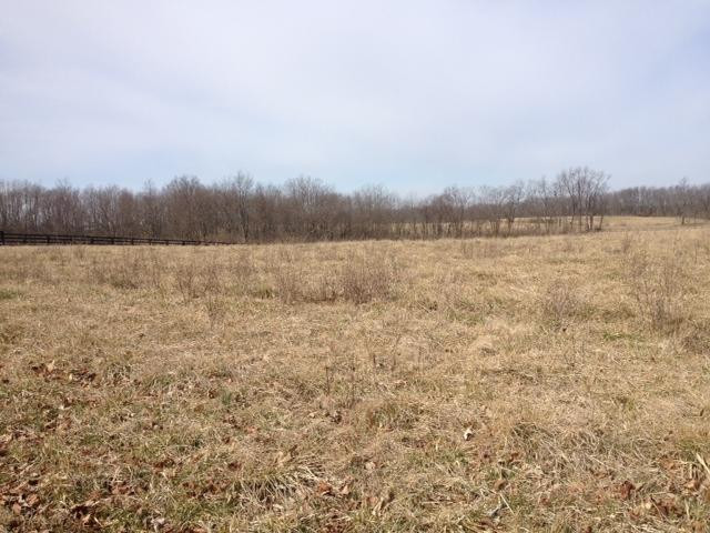 206 Johnson Mill Road Georgetown, KY 40324 - Photo 1 of 1 Photo 1