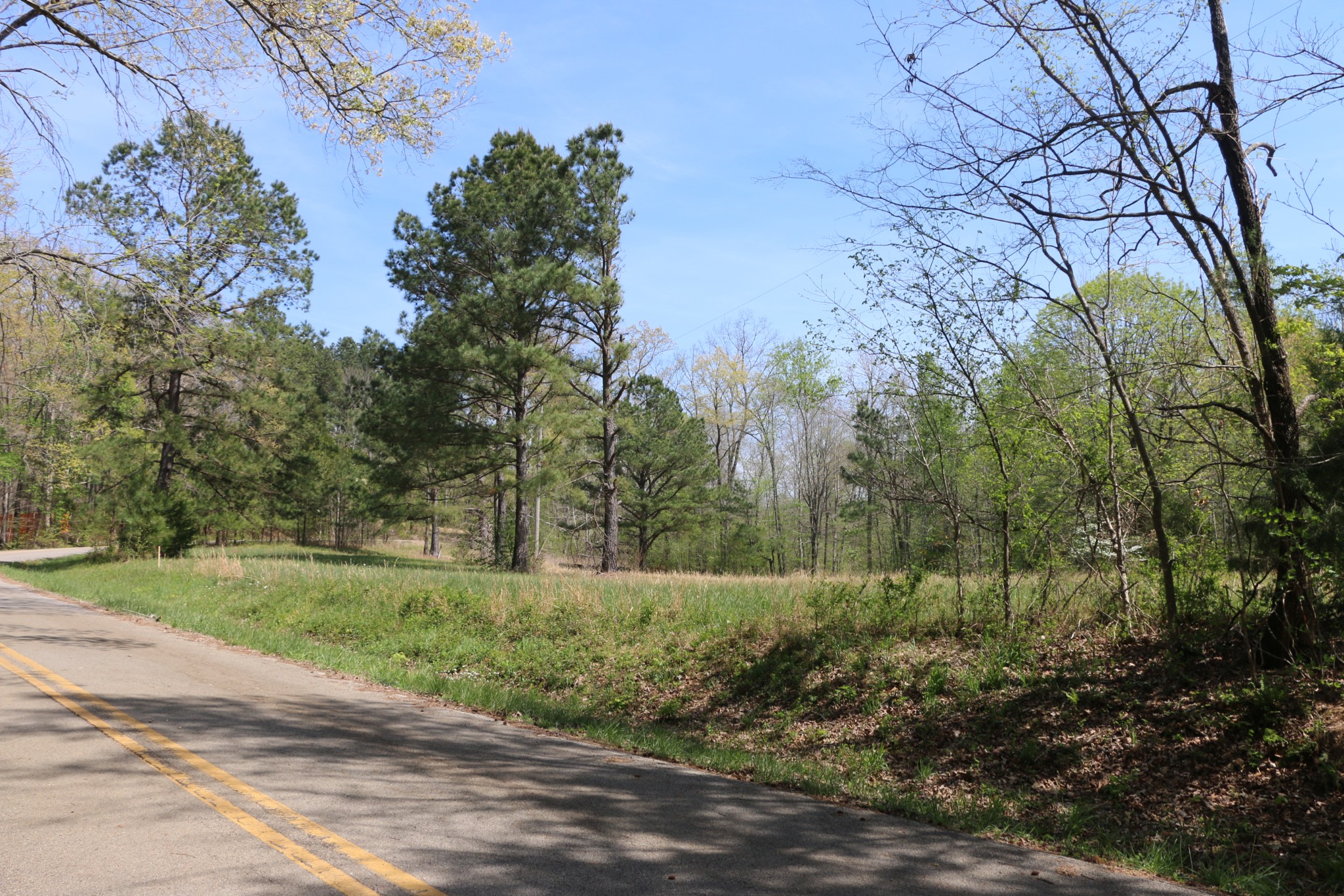 820 New Road Clarksville, TN 37040 - Photo 6 of 10