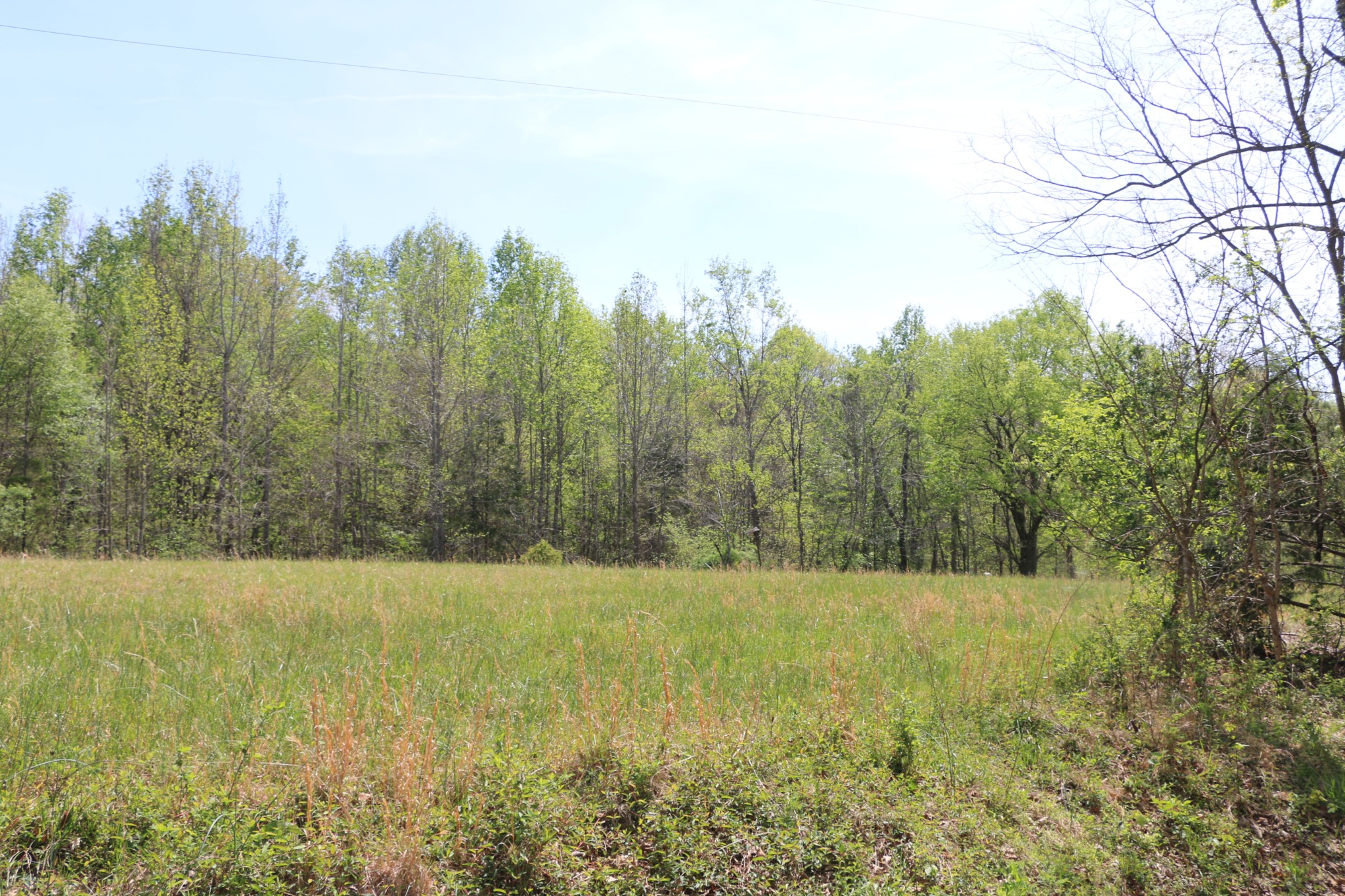 820 New Road Clarksville, TN 37040 - Photo 8 of 10