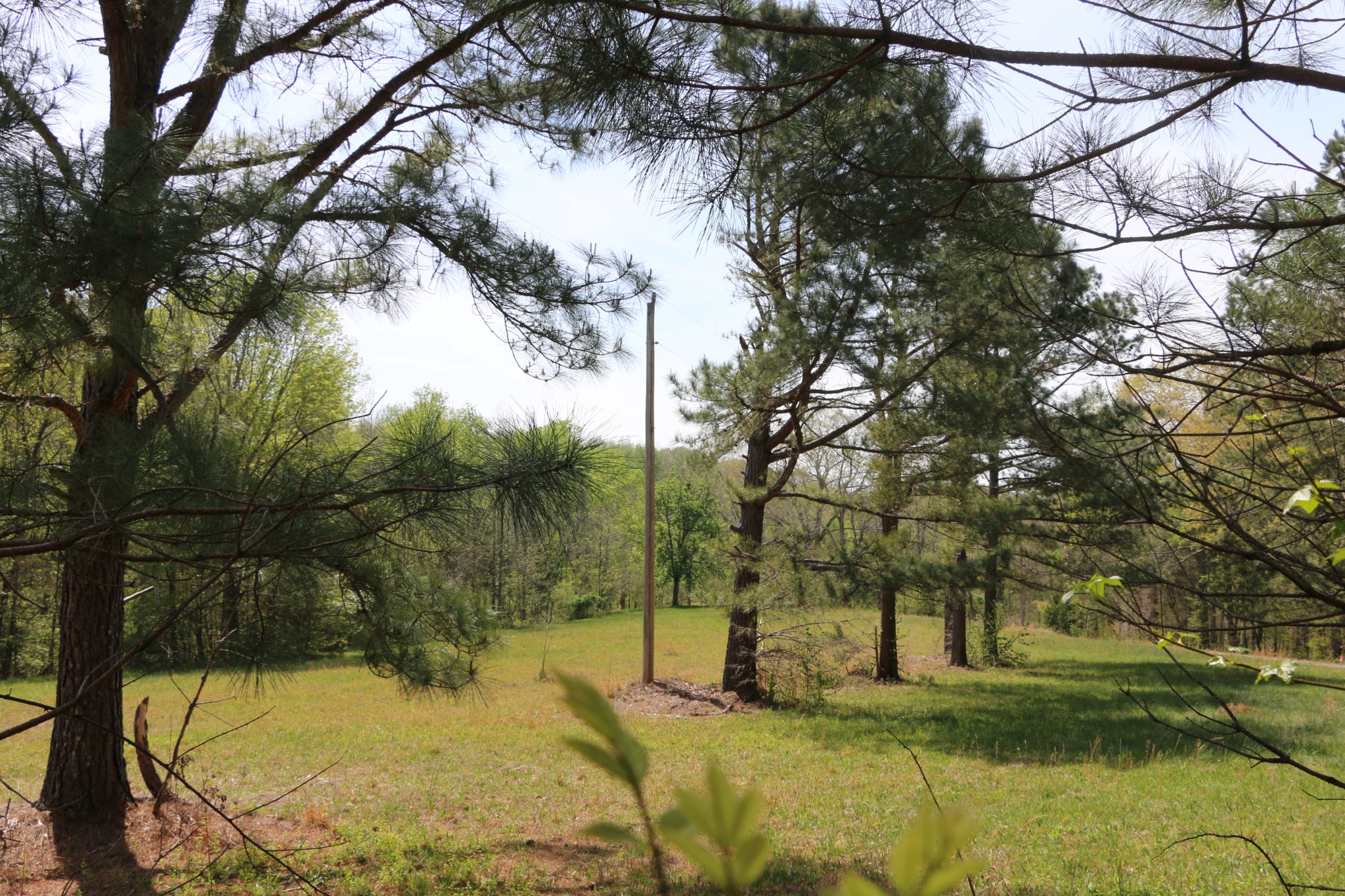 820 New Road Clarksville, TN 37040 - Photo 9 of 10