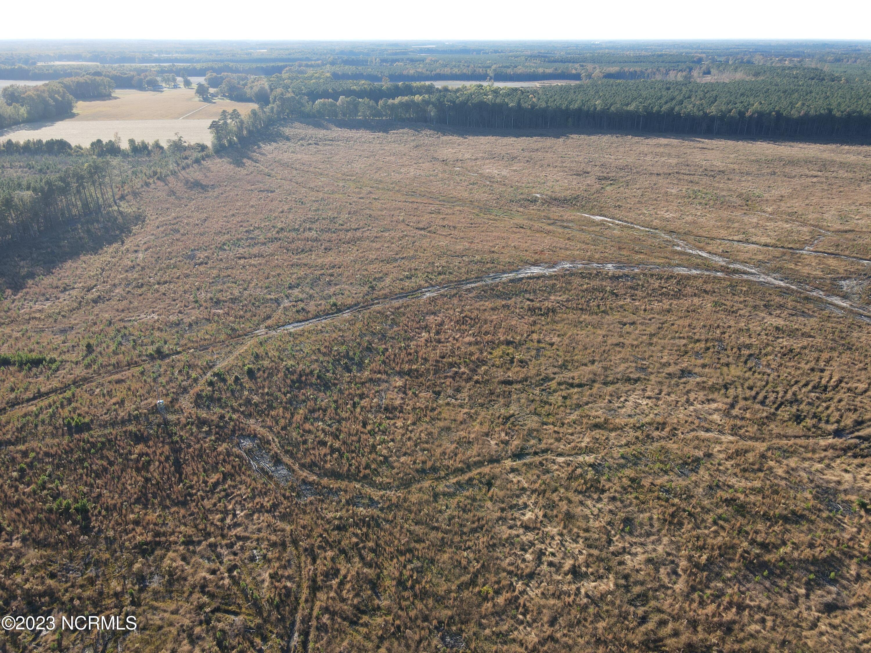 Tbd Tower Road Margarettsville, NC 27853 - Photo 13 of 25 DJI_0422